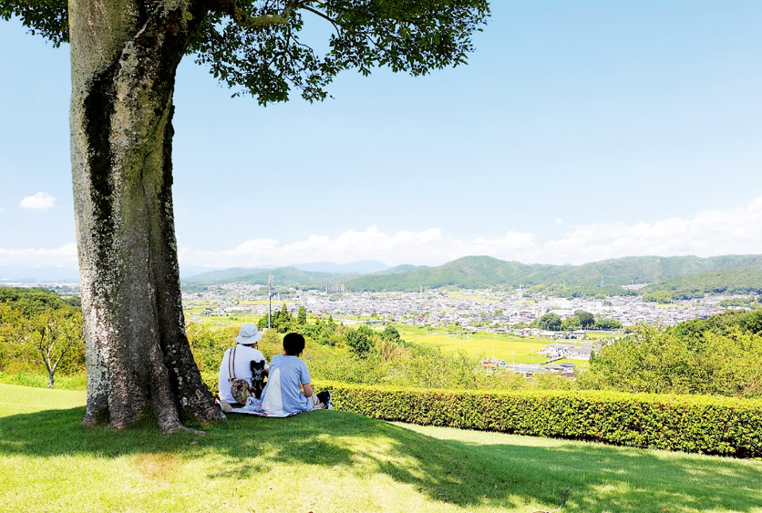 木陰で座る二人の後ろ姿と、遠くに広がる田園風景