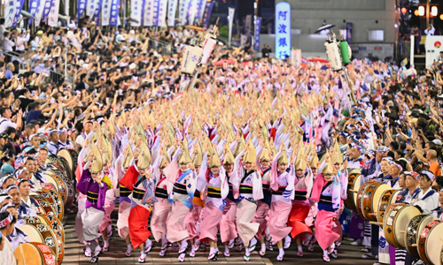 阿波おどり公演